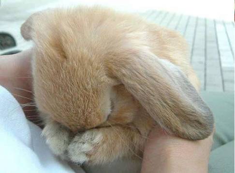 image002
