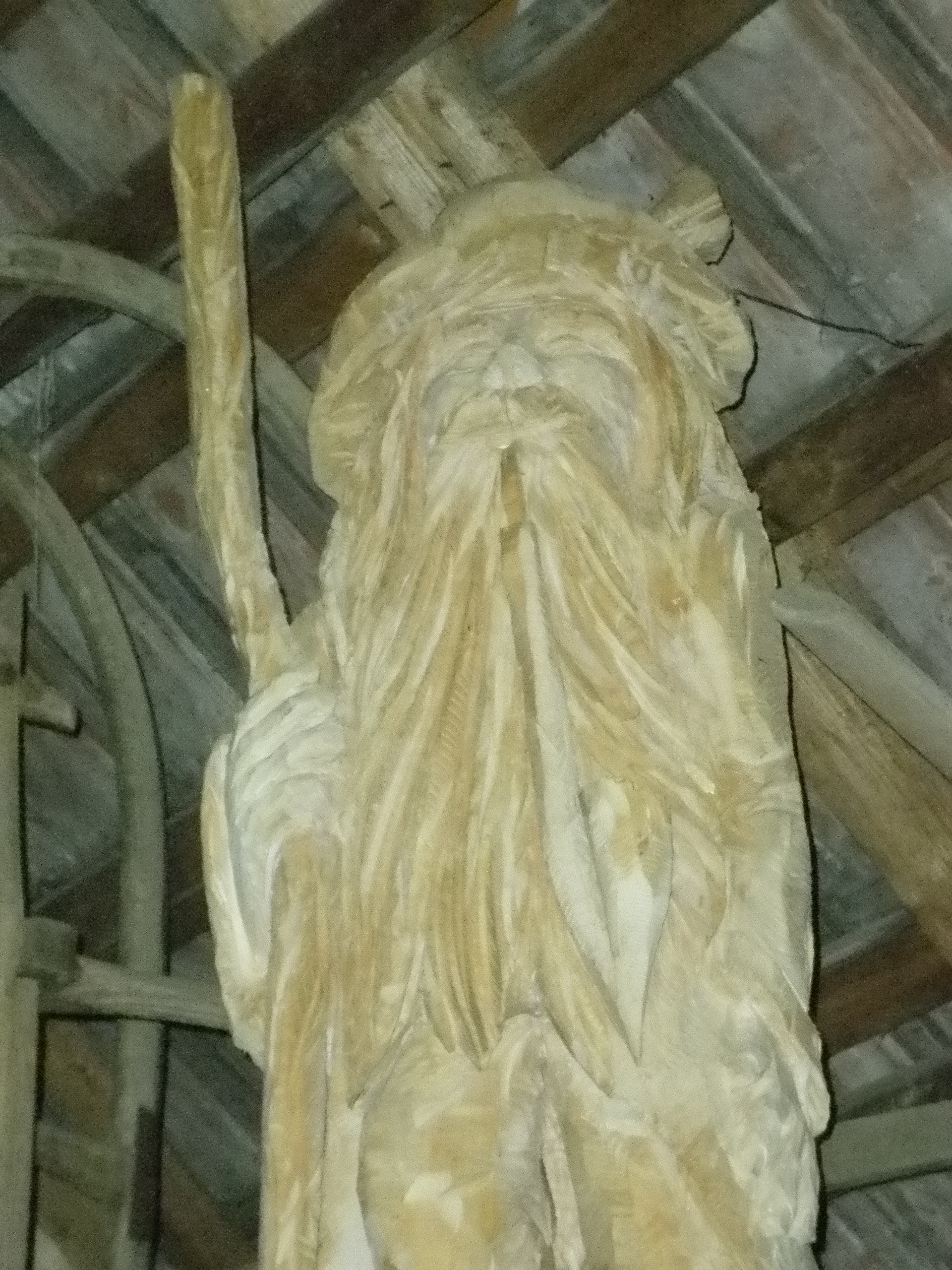 P1000325